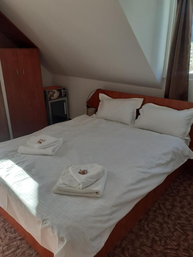 Casa Azugeana Azuga Zewnętrze zdjęcie